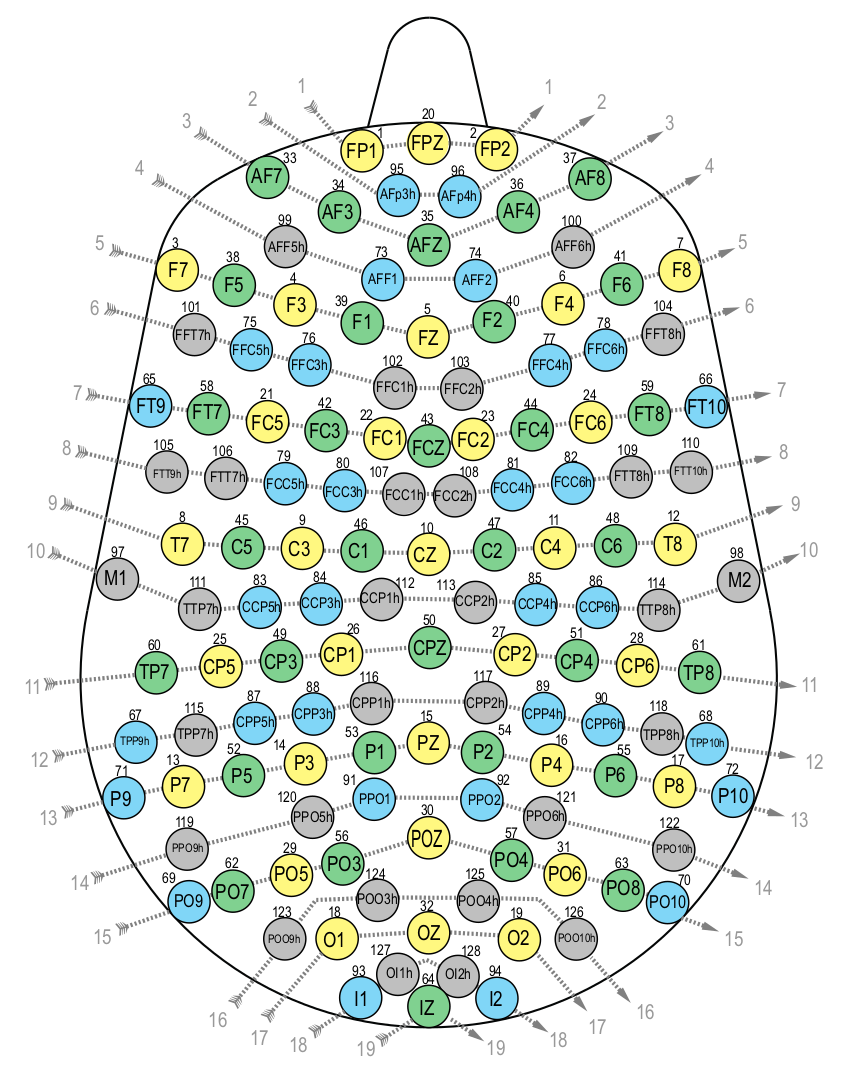 EEG layout with 128 channels