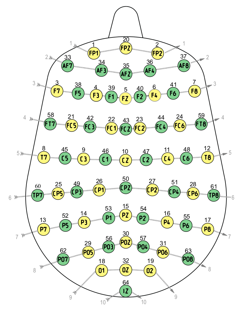 EEG layout with 64 channels